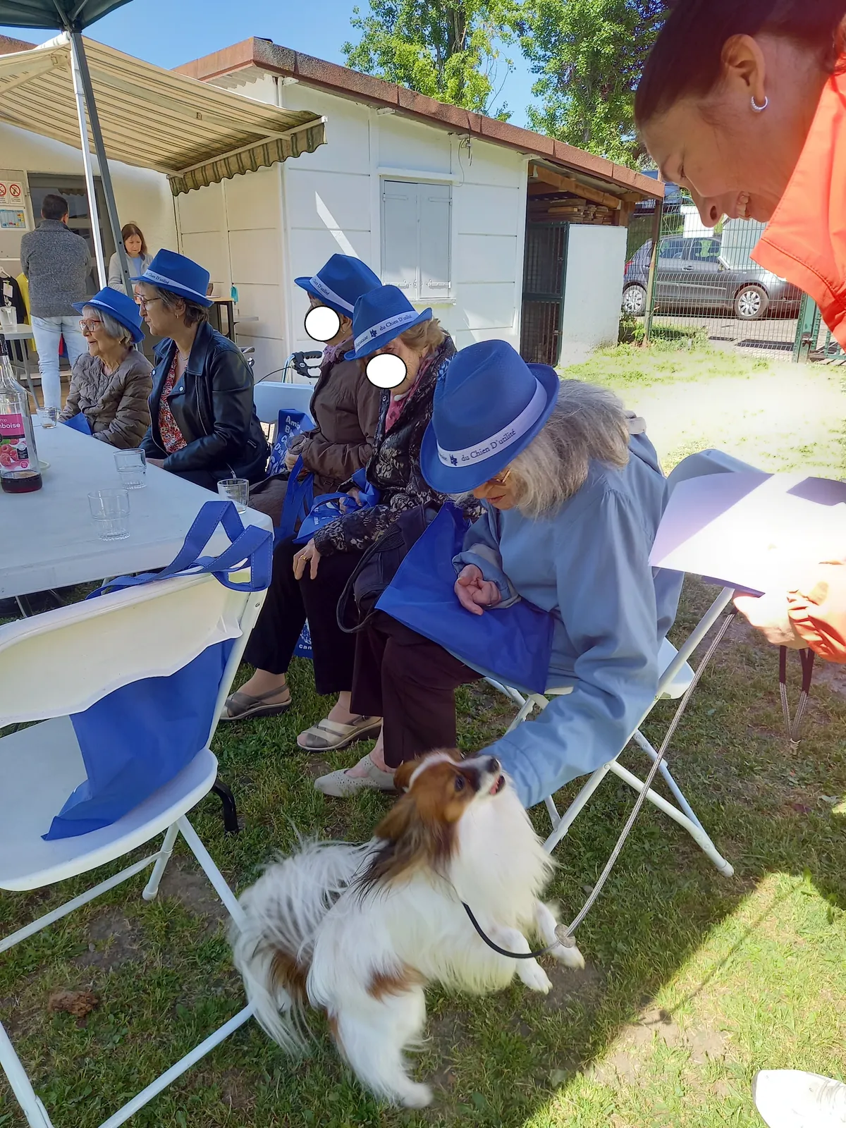 Sortie : l'entrainement des chiens d'utilité