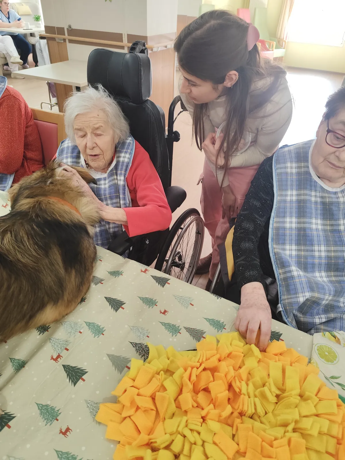 Activités du jour 