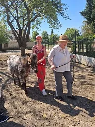 Sortie à la ferme pédagogique 
