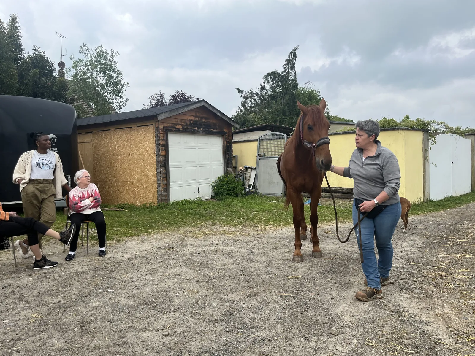Découverte d'un nouveau Poney