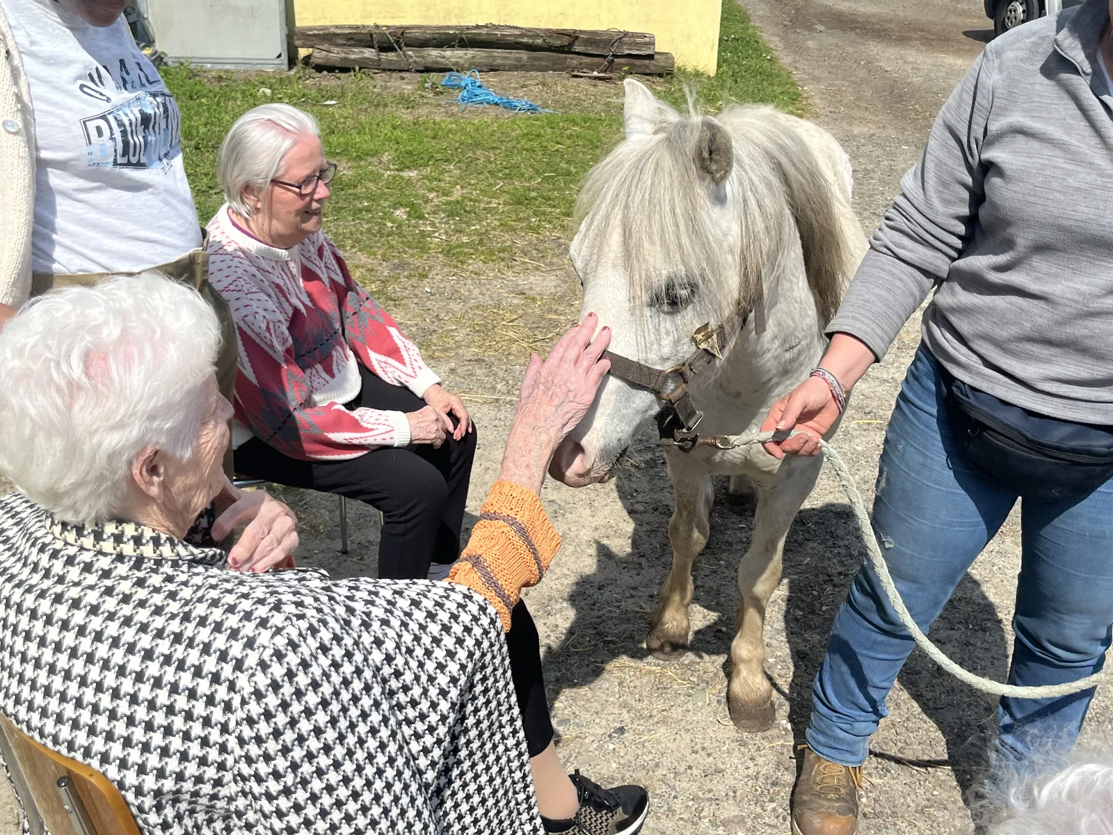 Découverte d'un nouveau Poney