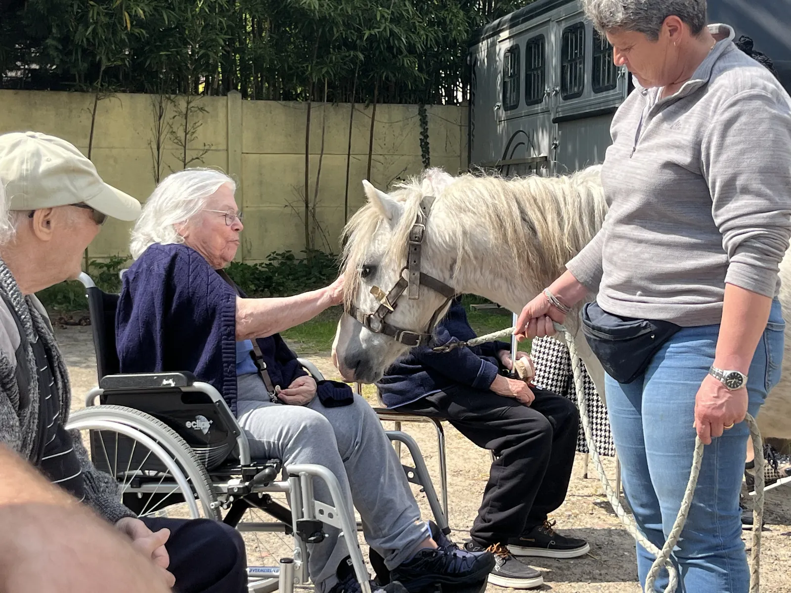 Découverte d'un nouveau Poney