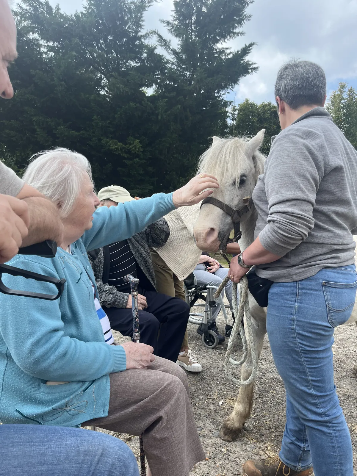 Découverte d'un nouveau Poney