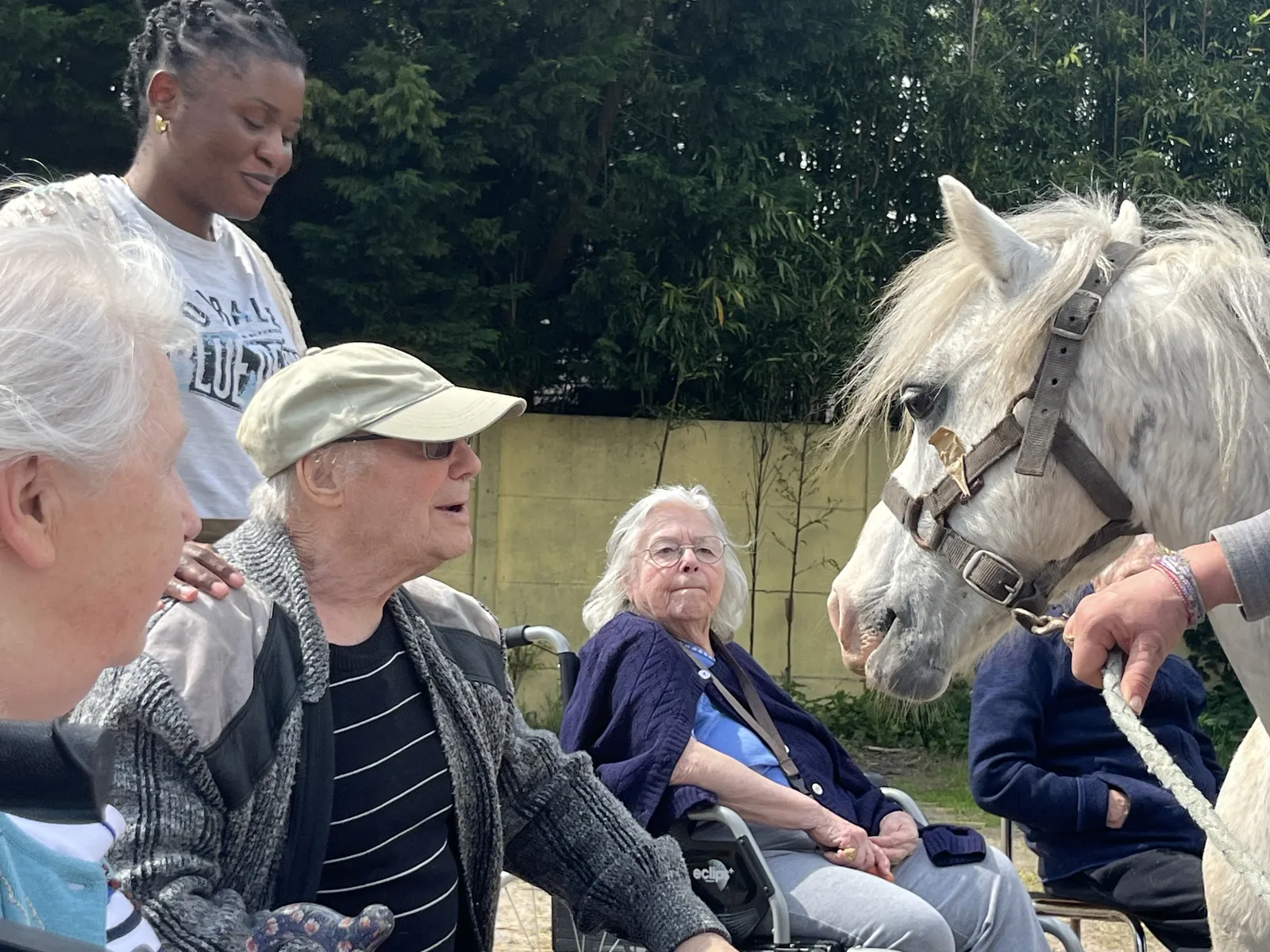 Découverte d'un nouveau Poney