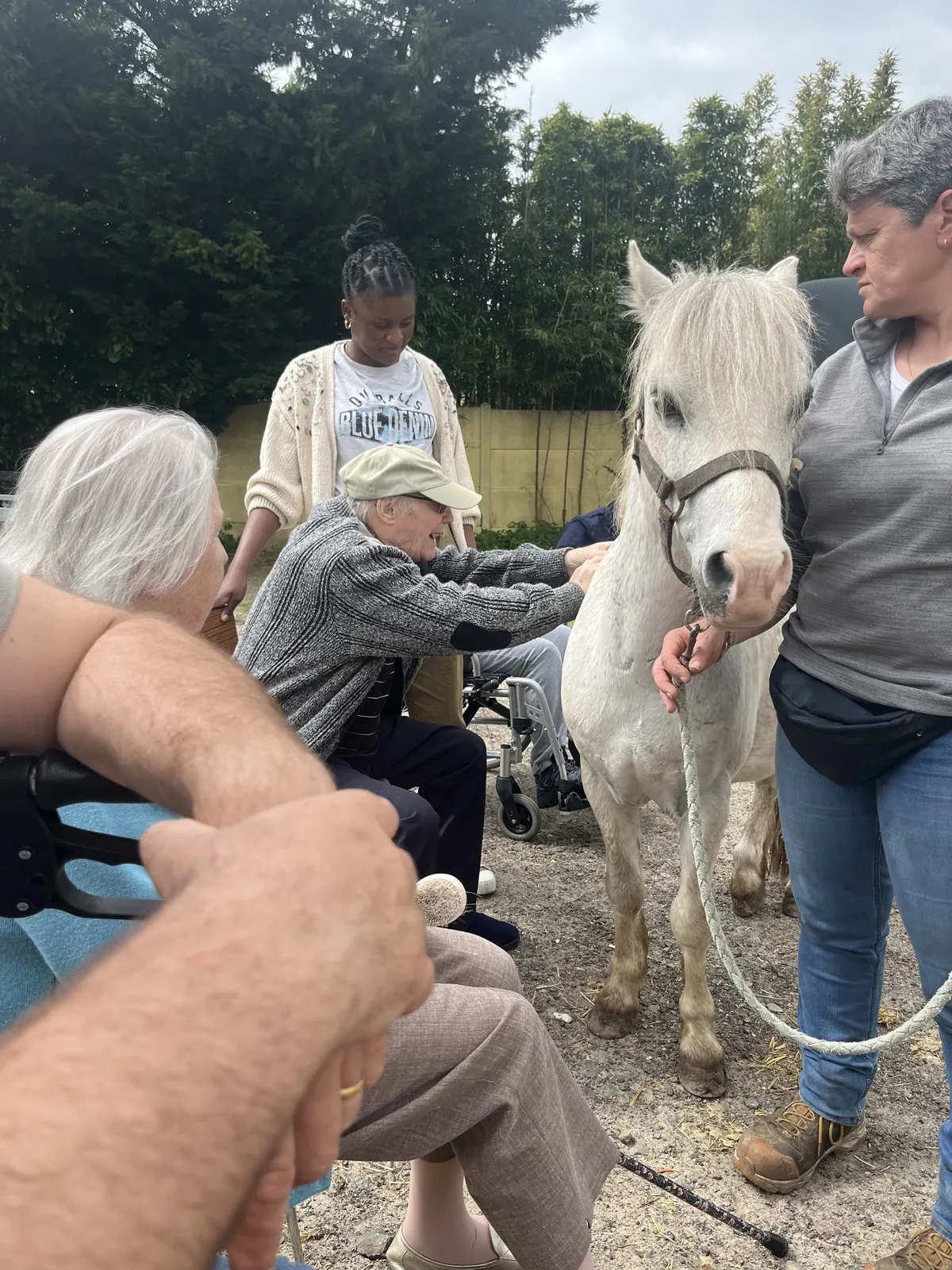 Découverte d'un nouveau Poney