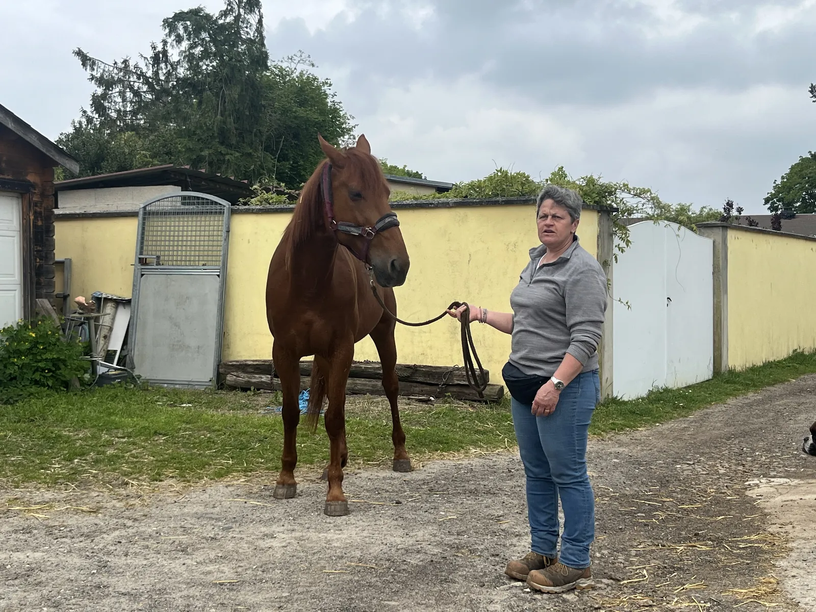 Découverte d'un nouveau Poney