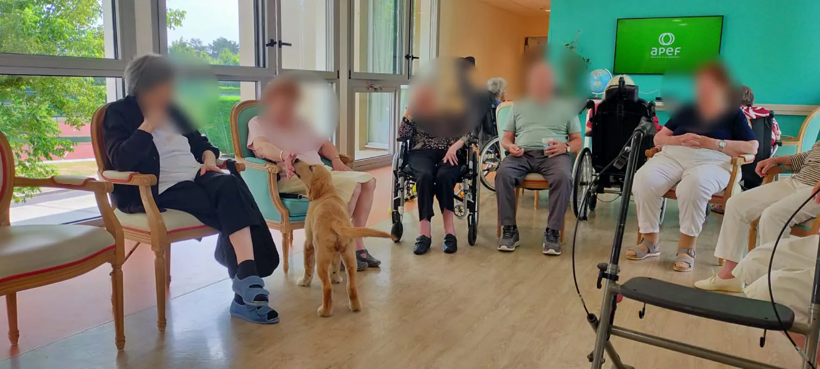 Balou fait faire du sport aux Résidents