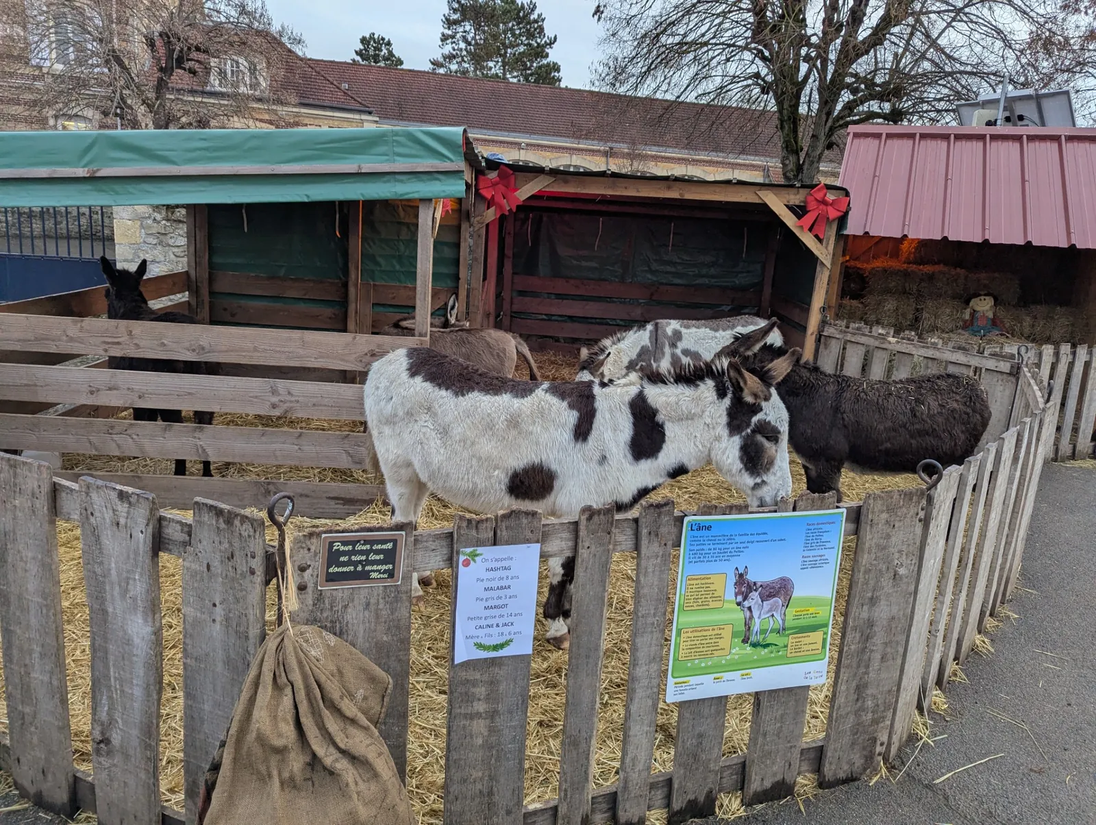 Sortie au marché de Noël 