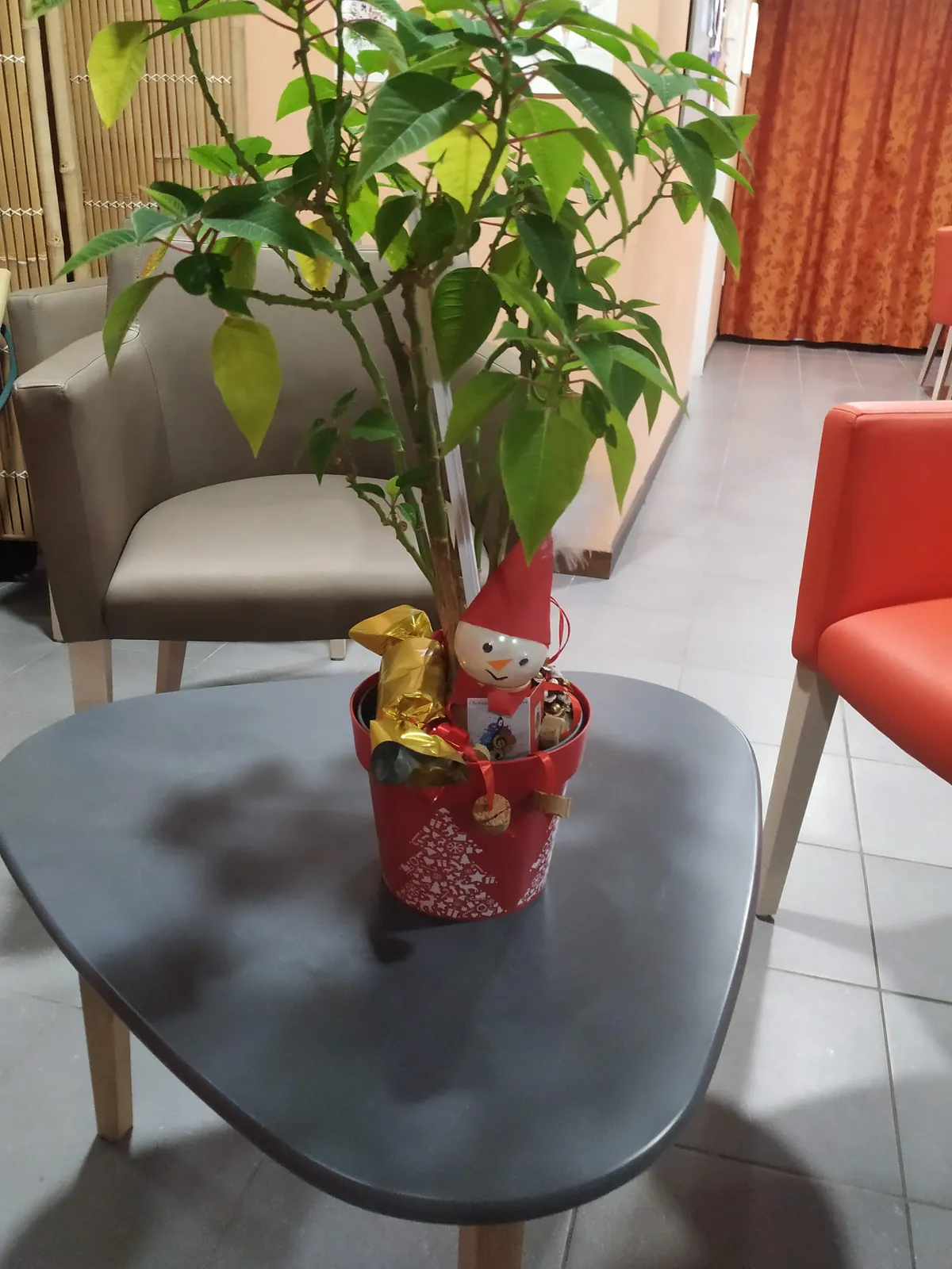 Noël se prépare aux Templitudes !