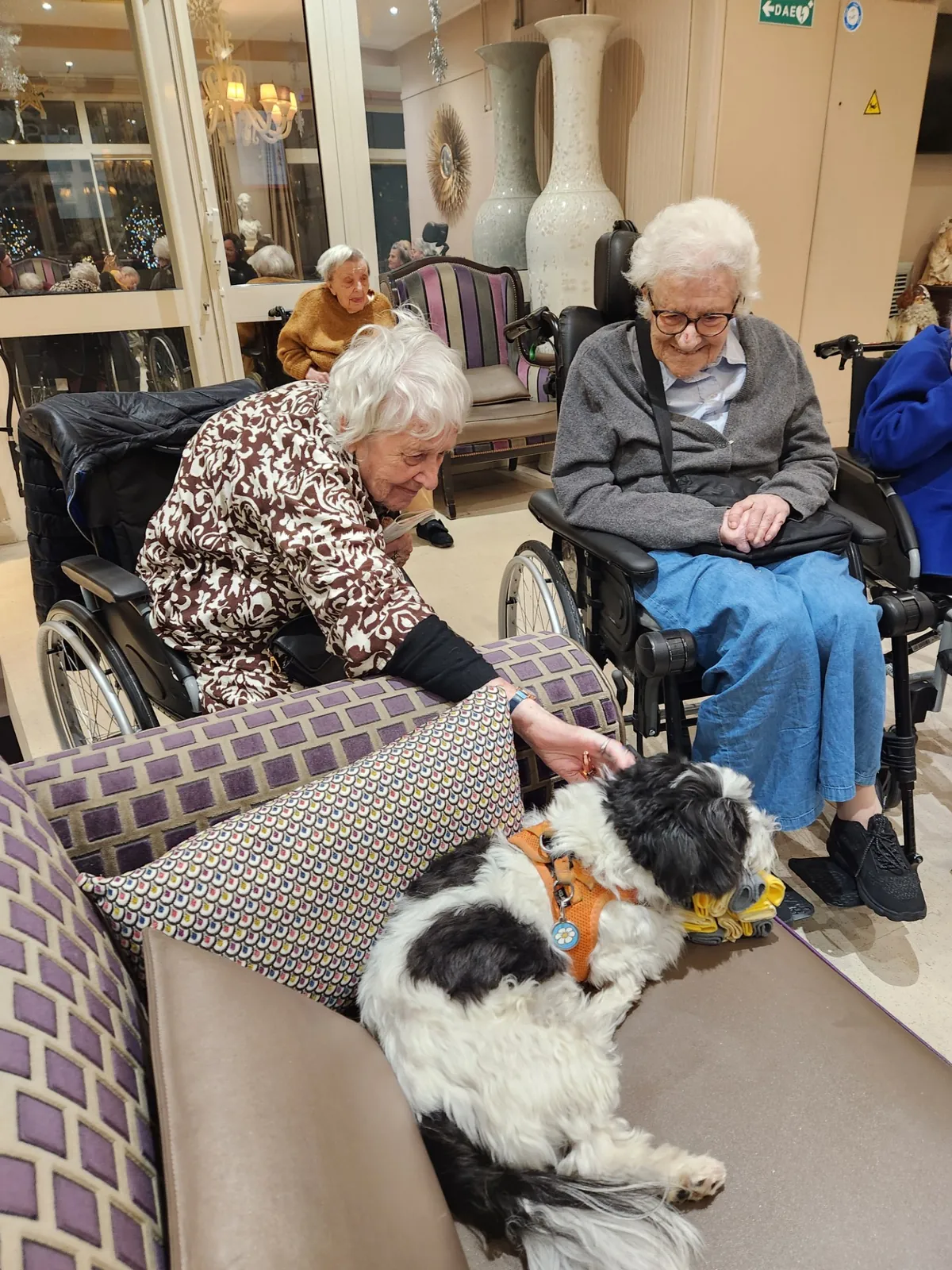 Visite du petit chien Satie 