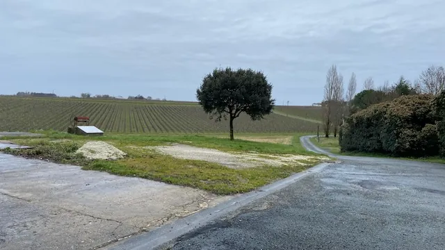 Visite d'une distillerie
