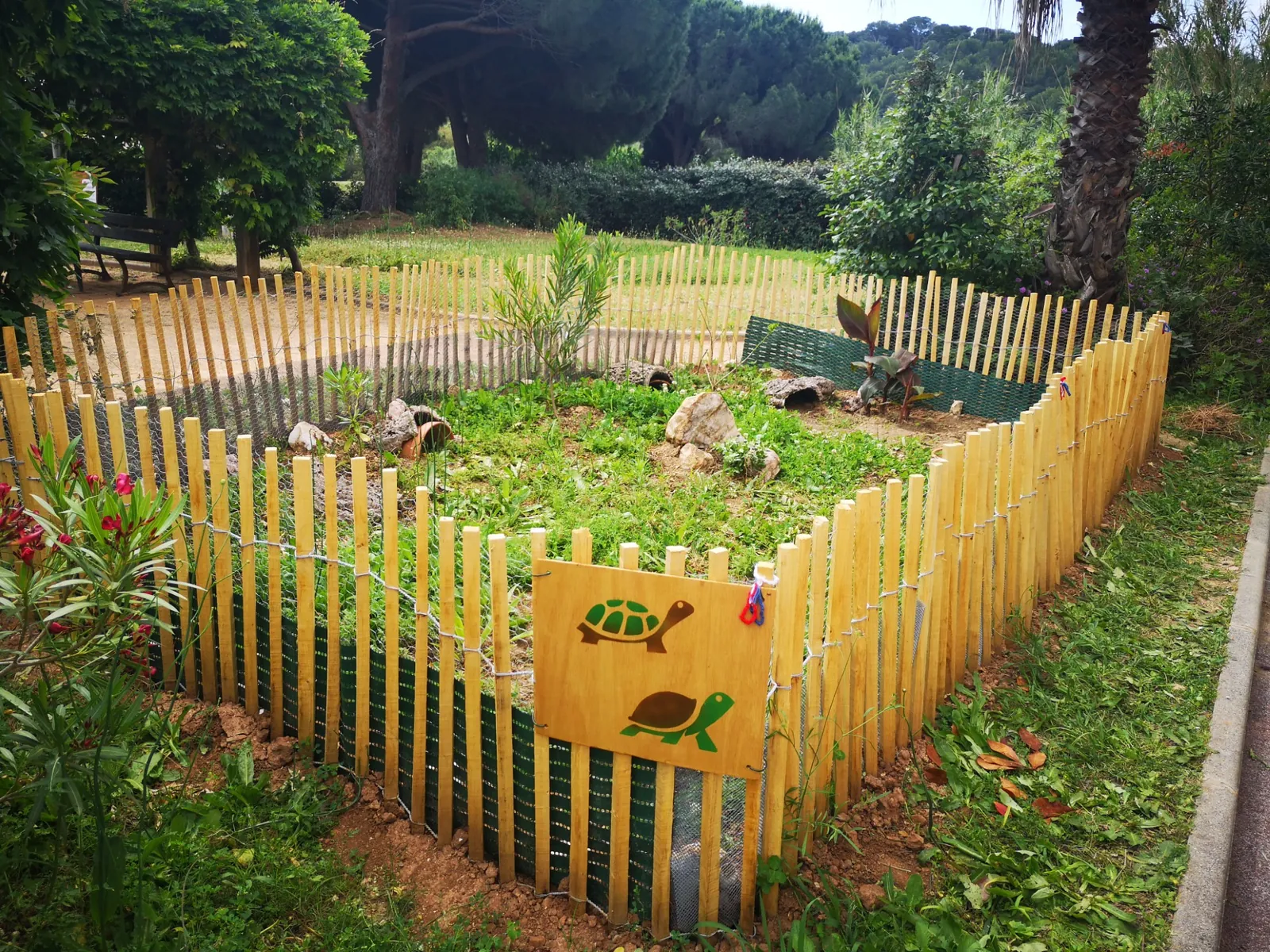  JARDIN DES TORTUES 