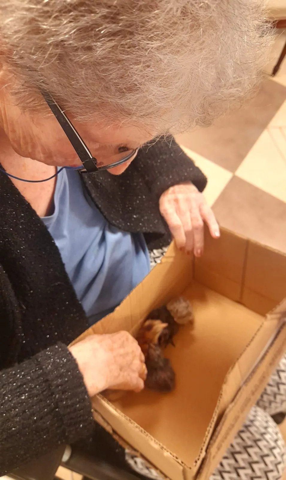Des nouvelles de nos poussins ! 
