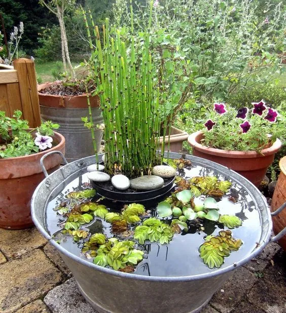 Une belle reconnaissance pour notre projet « Jardin Extraordinaire »