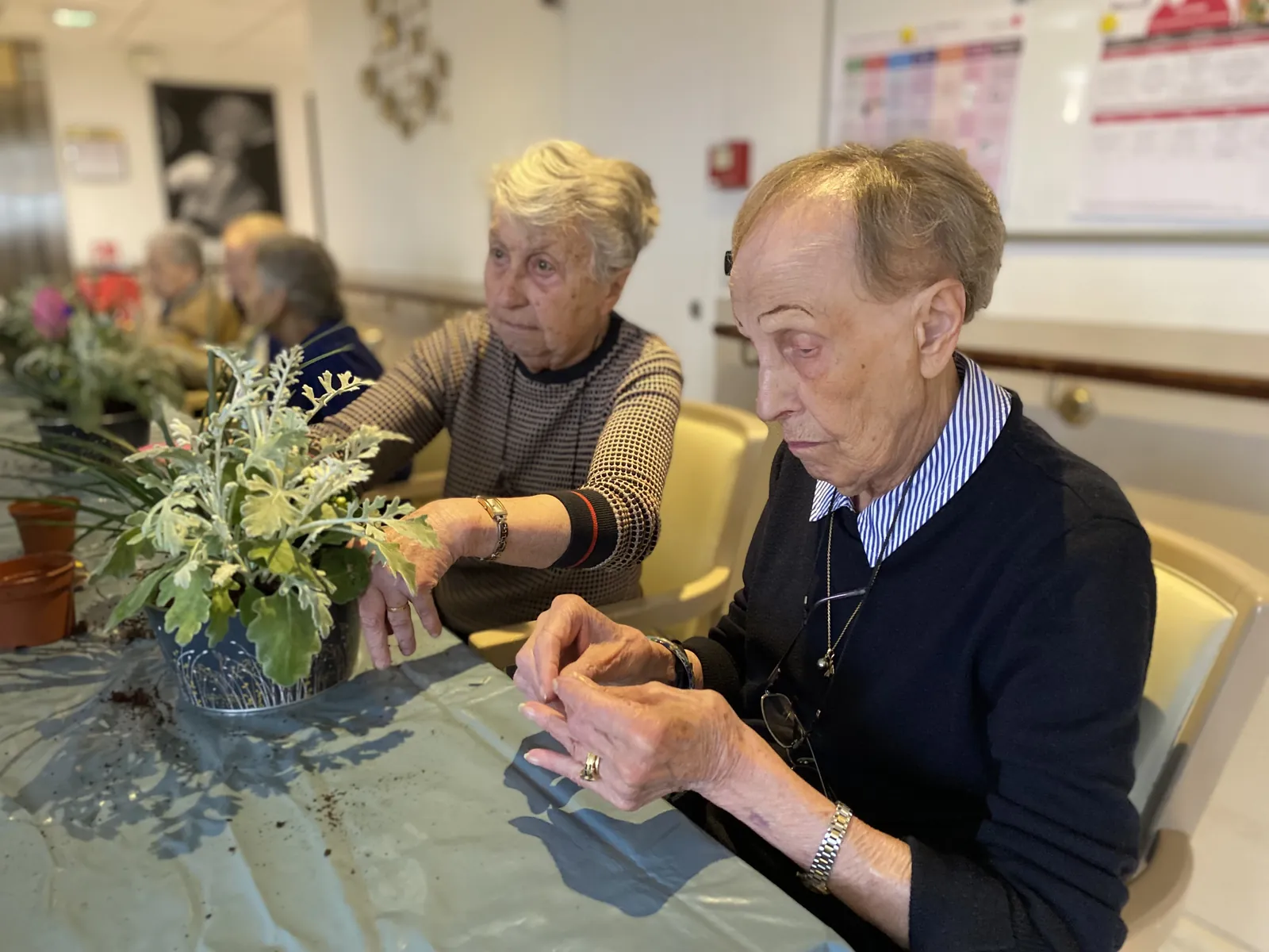 L’ART FLORAL UN RENDEZ-VOUS MENSUEL TRÈS PRISÉ