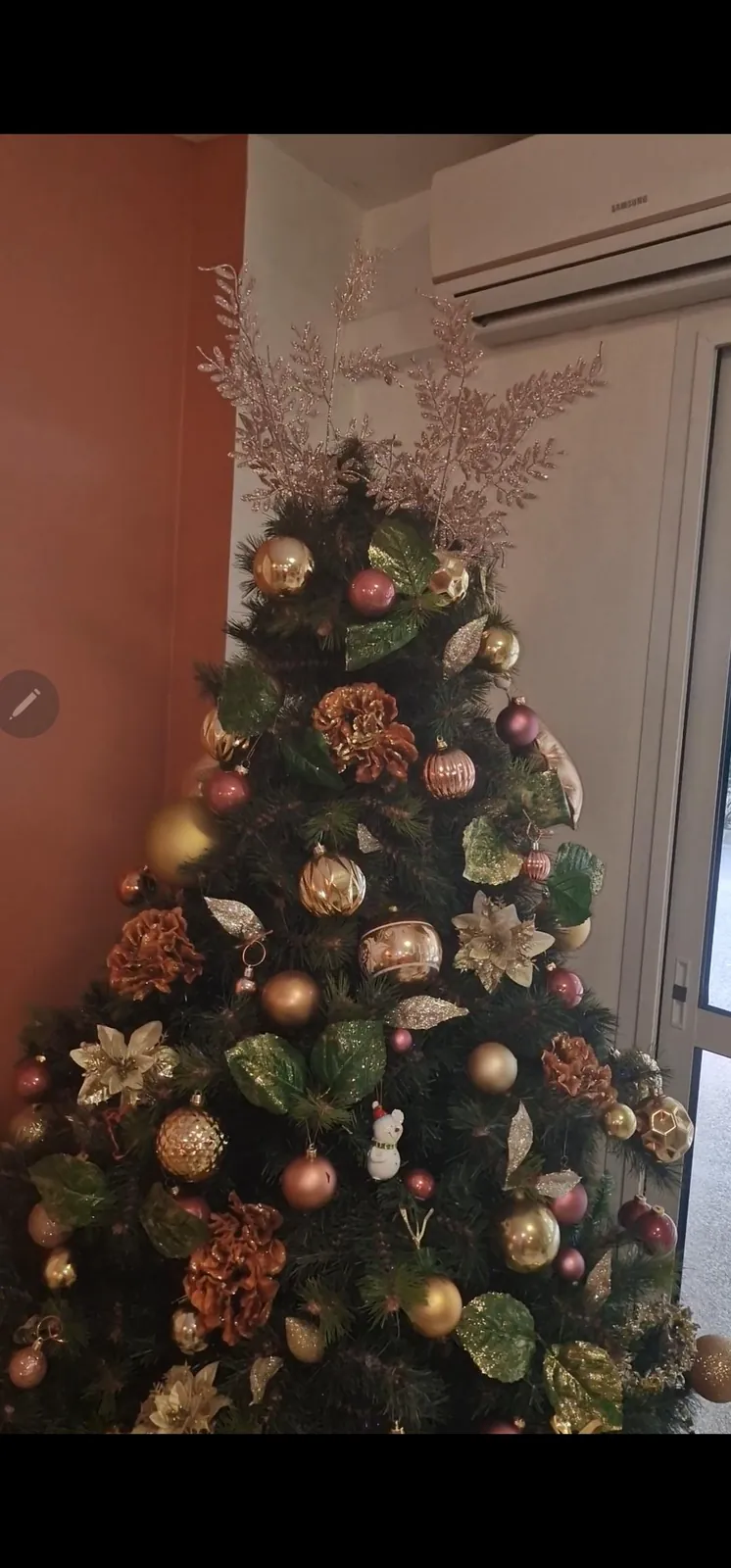 Sapin de l'uac 