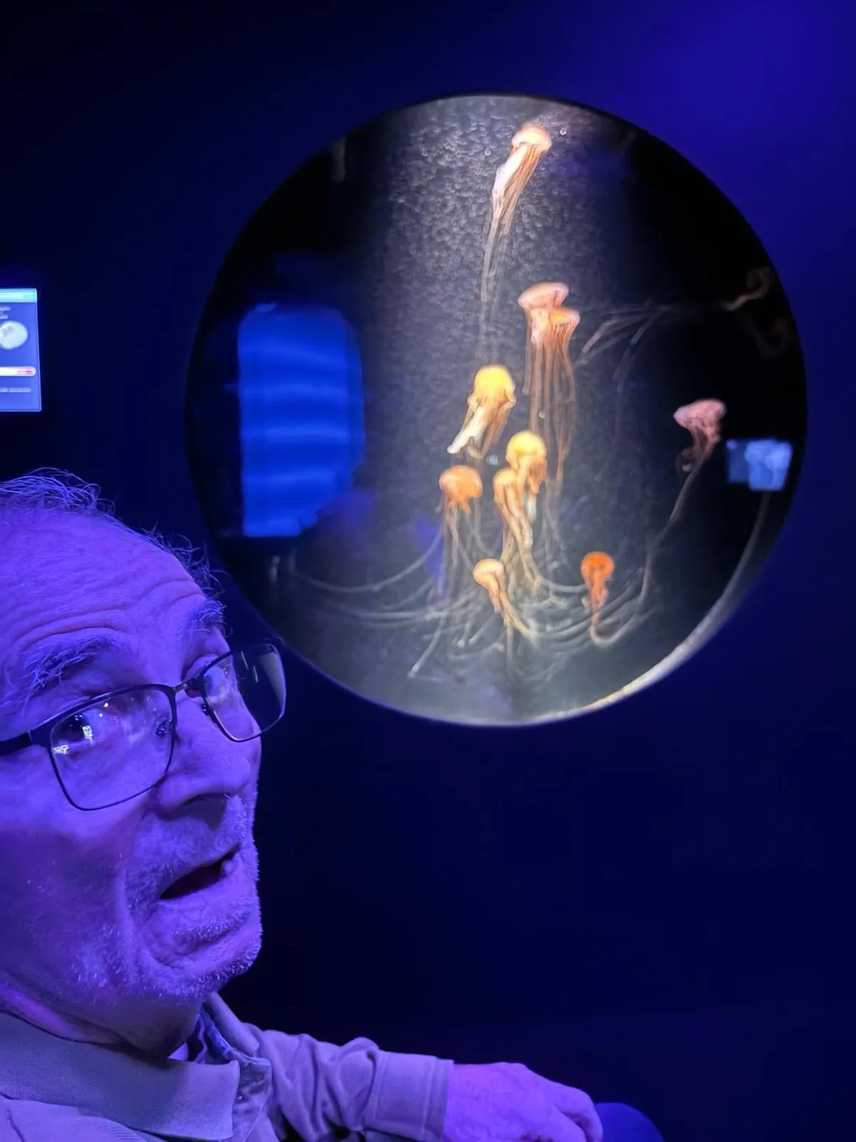 Une journée magique à l'Aquarium du Trocadéro 