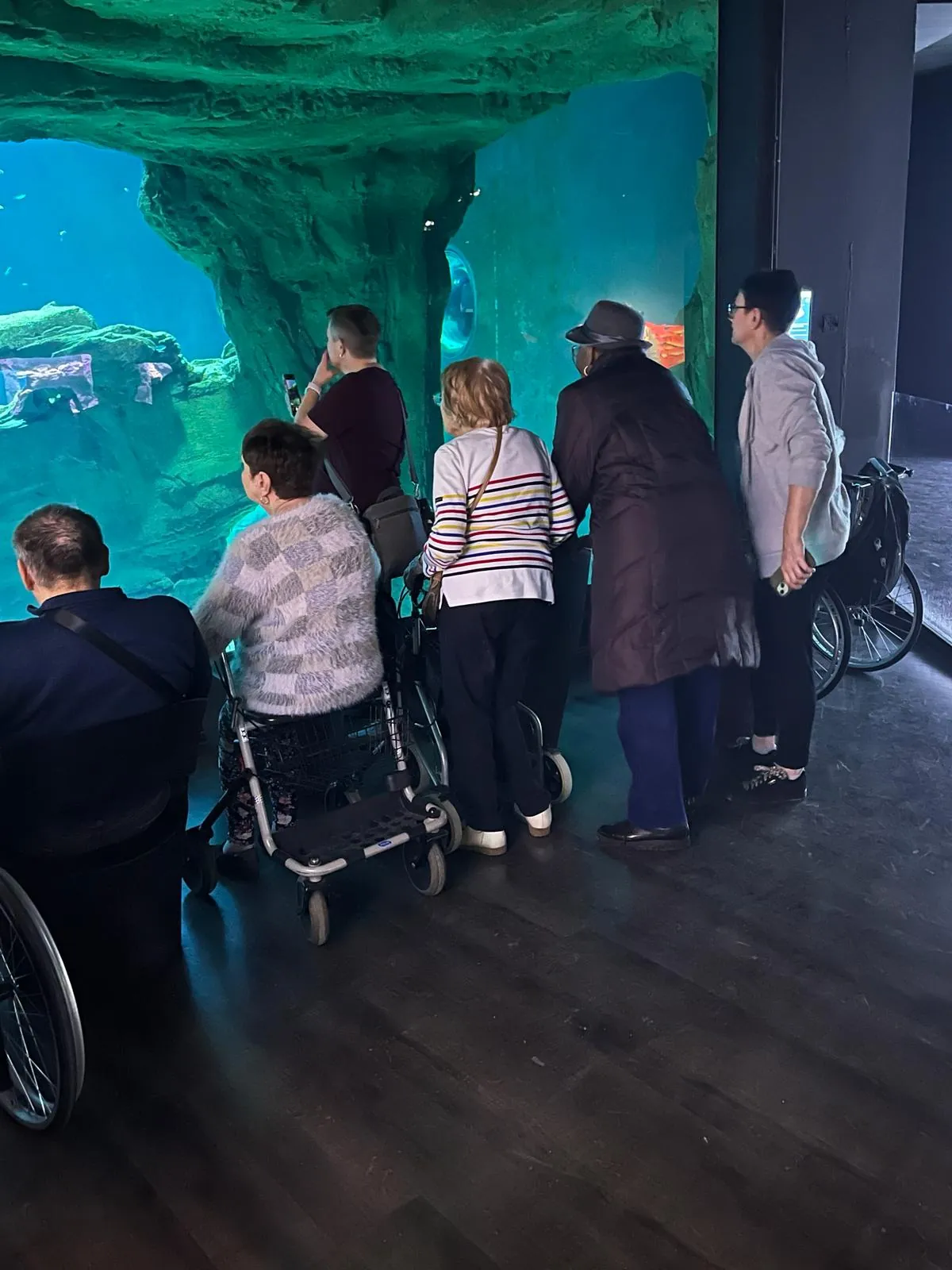 Une journée magique à l'Aquarium du Trocadéro 