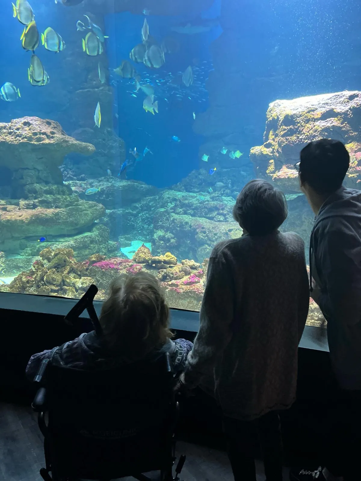 Une journée magique à l'Aquarium du Trocadéro 