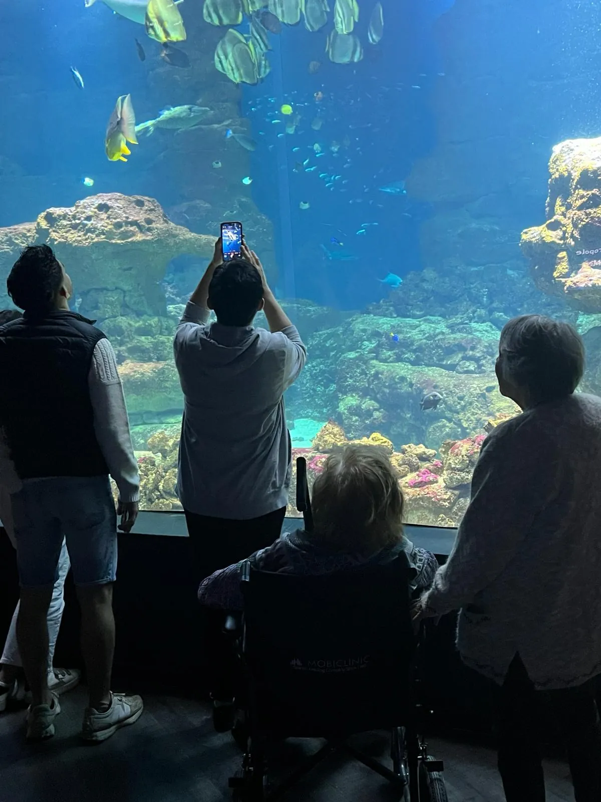 Une journée magique à l'Aquarium du Trocadéro 