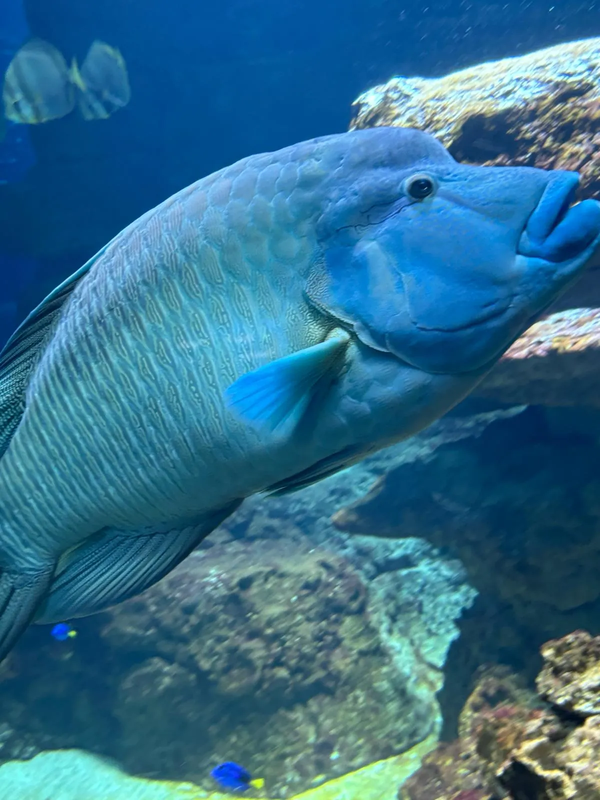 Une journée magique à l'Aquarium du Trocadéro 