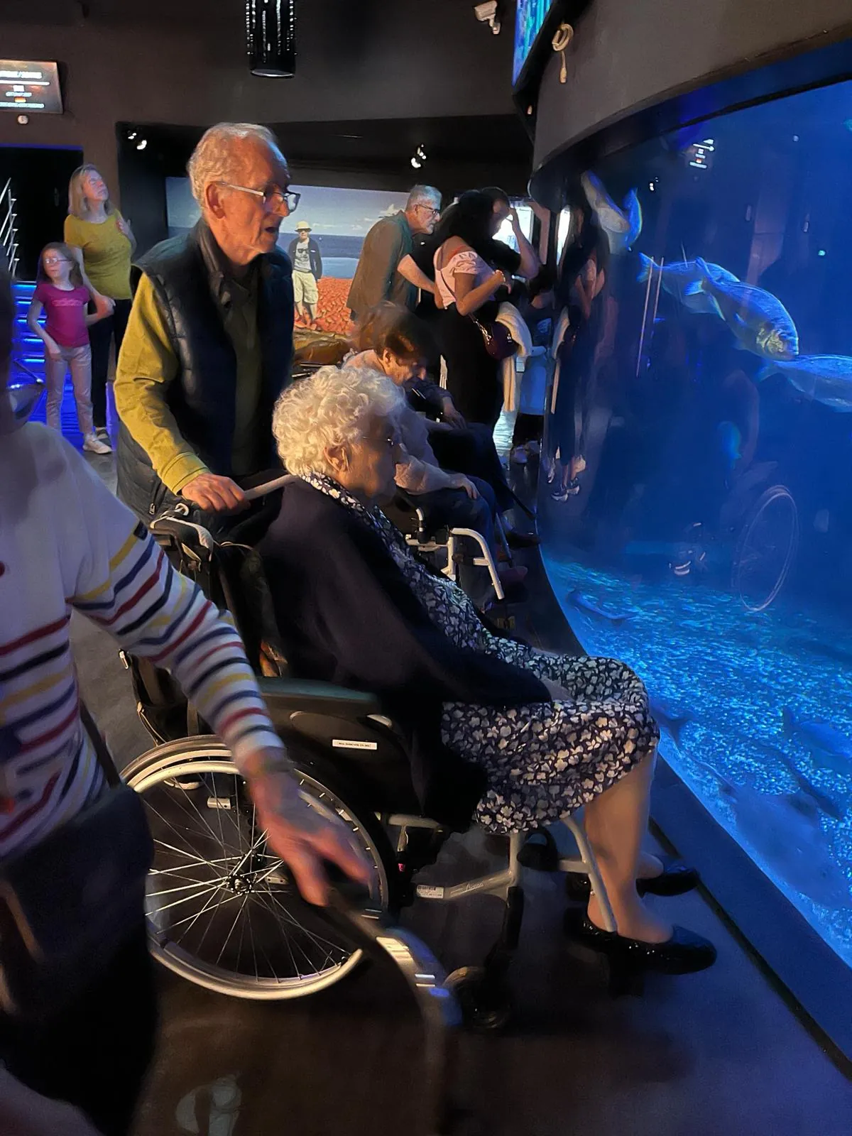 Une journée magique à l'Aquarium du Trocadéro 