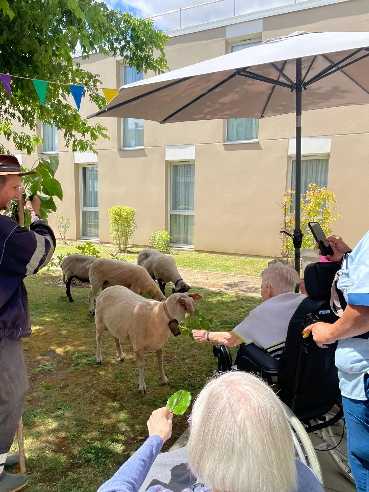 Un petit air de campagne à la résidence : un berger et ses moutons en visite !
