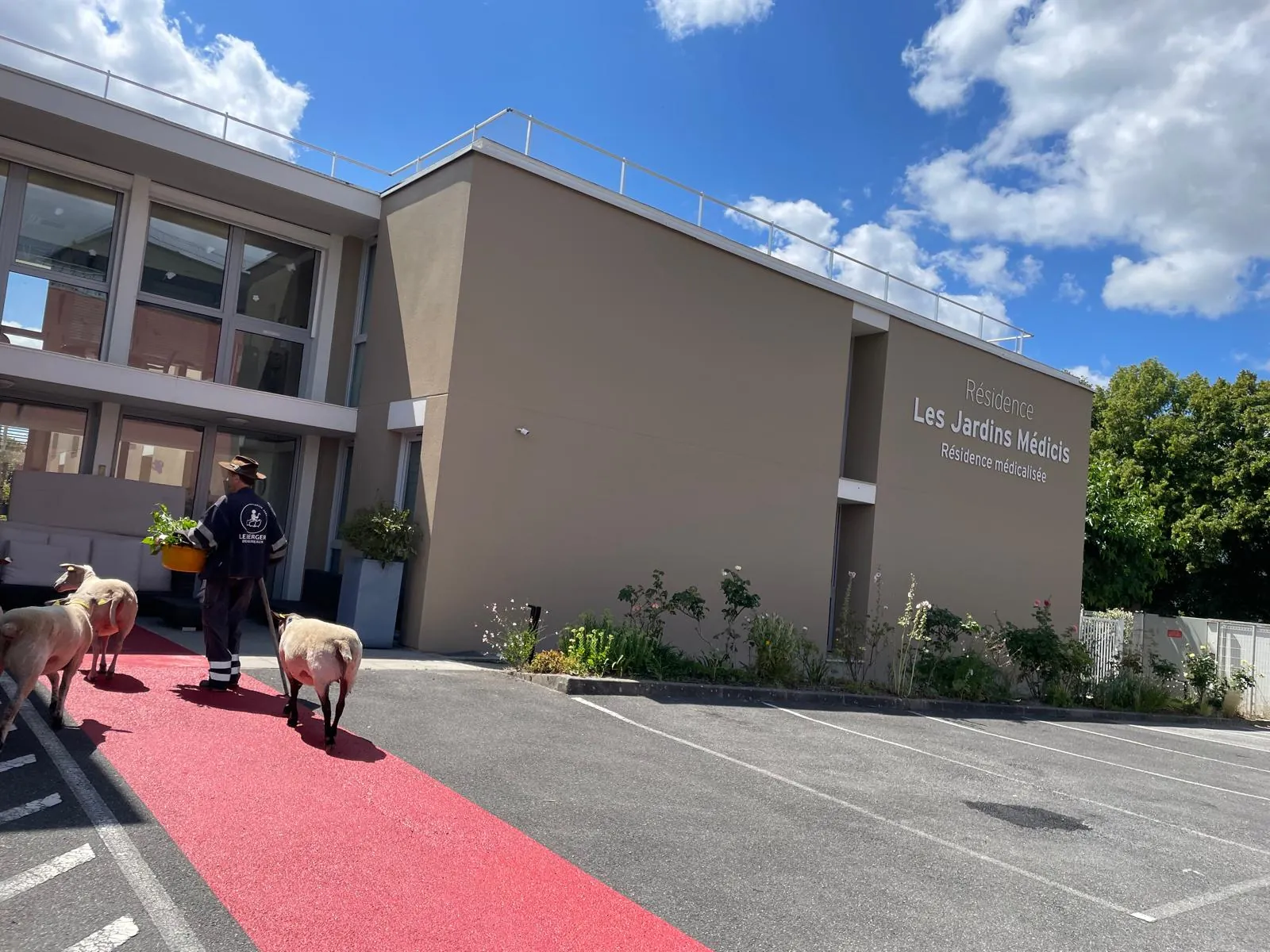 Un petit air de campagne à la résidence : un berger et ses moutons en visite !