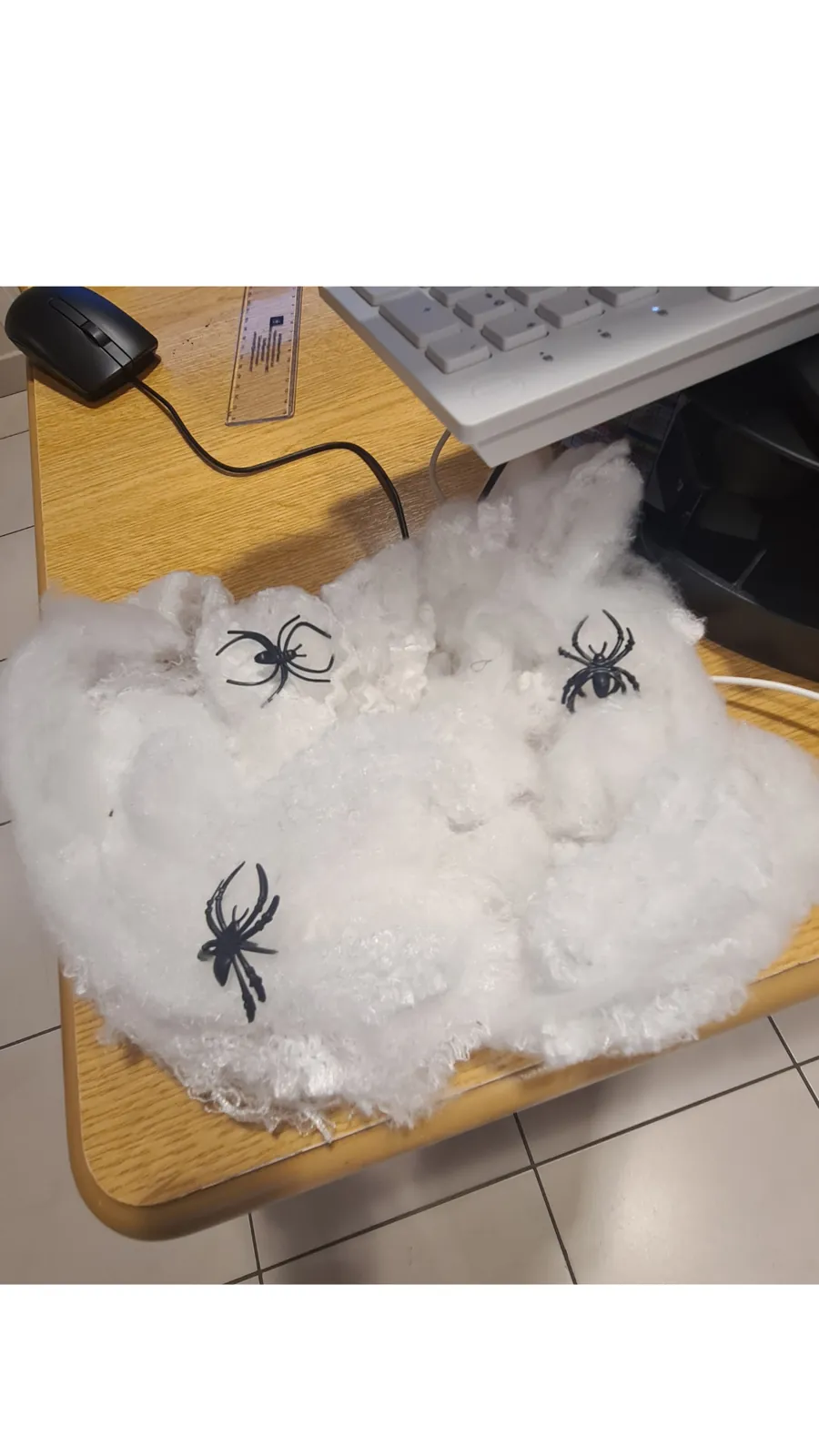Halloween s’invite à la Résidence !