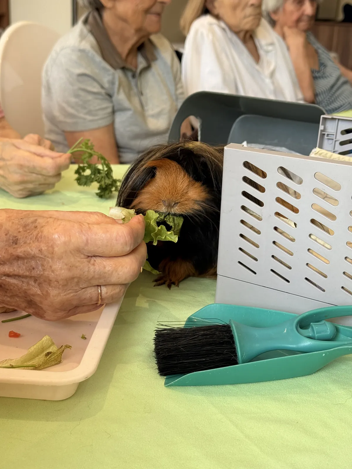 Un joli moment de médiation animale aux Blacassins !