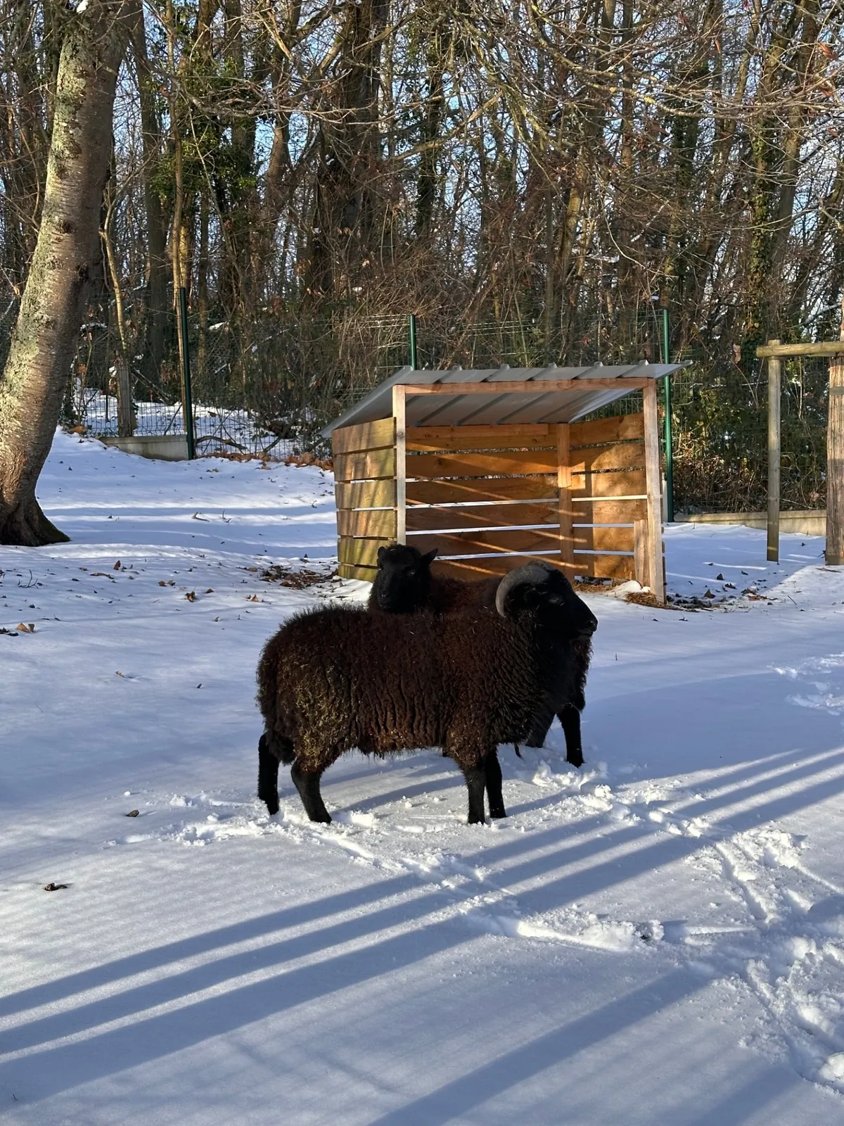 Andrésy sous la neige ! 