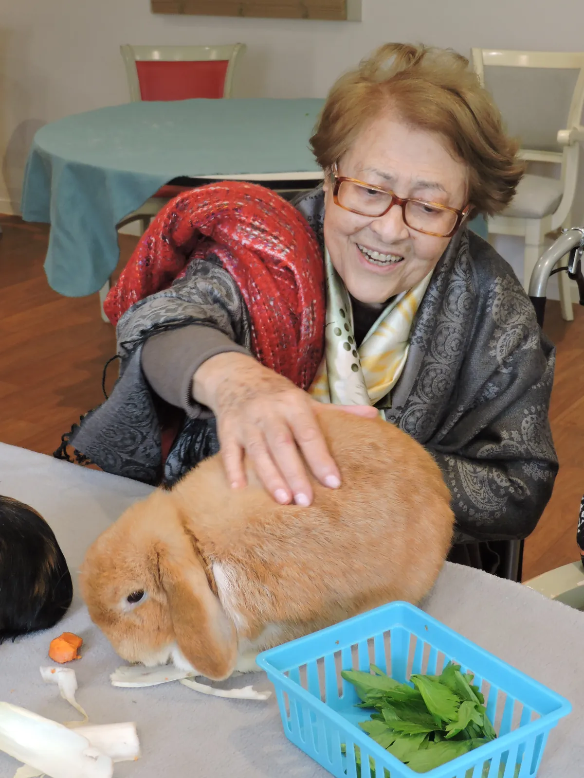 Rendez vous animalier 