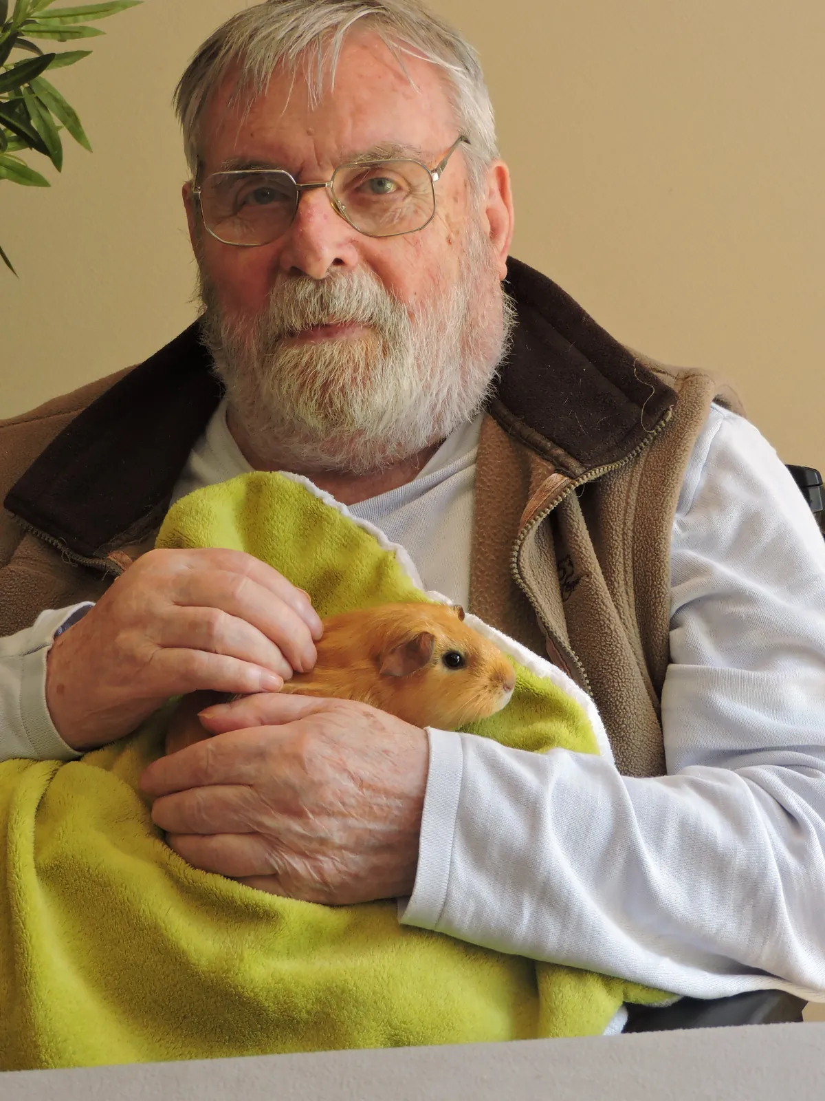 Rendez vous animalier 