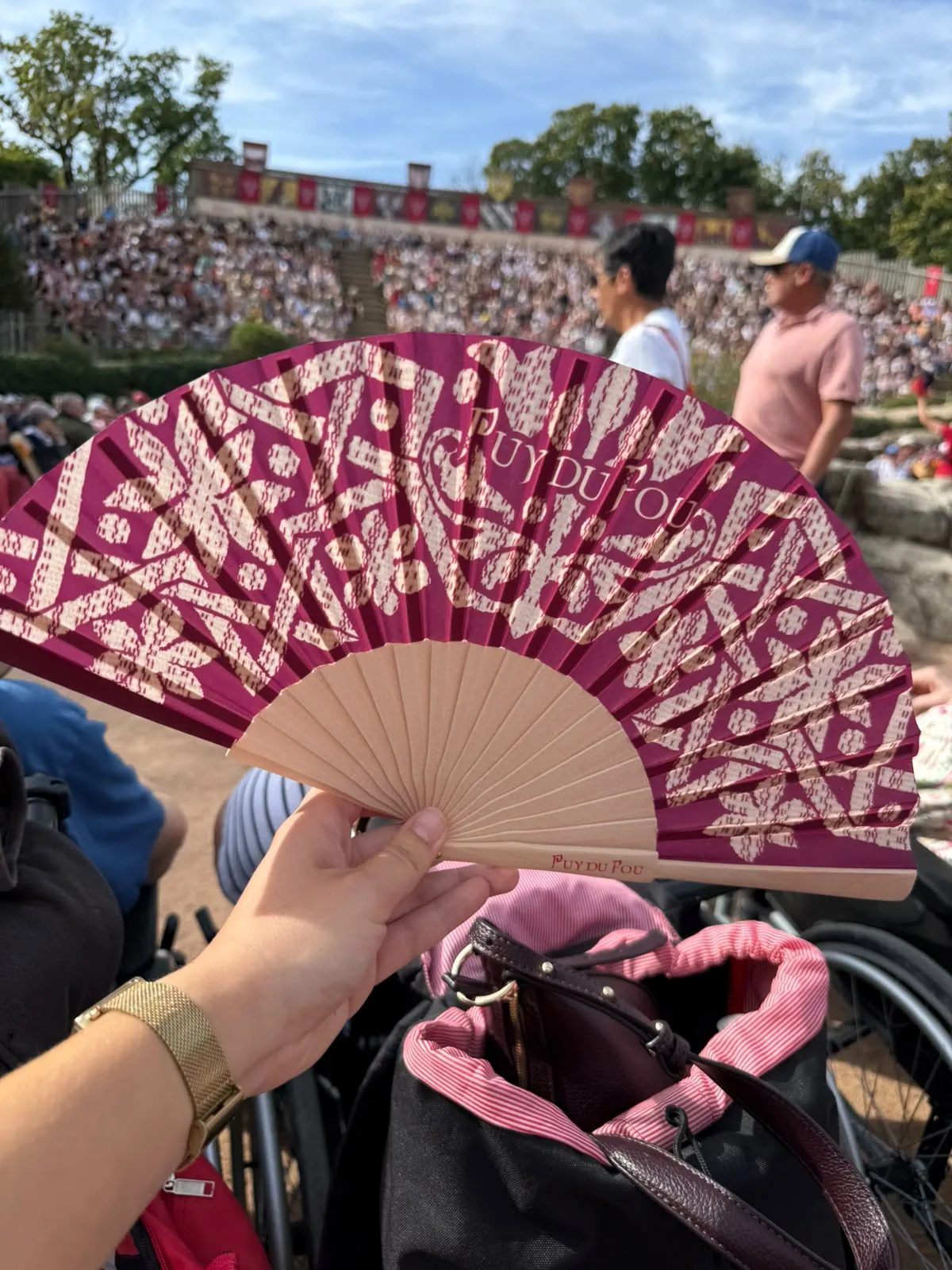  Une aventure épique au Puy du Fou ! 