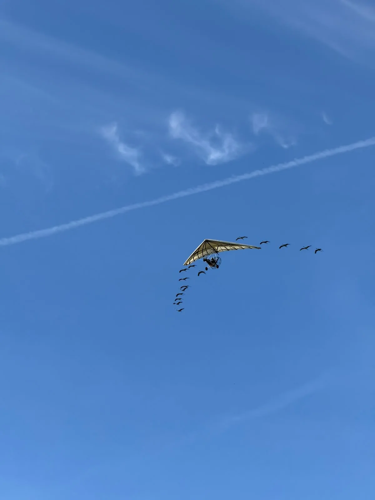  Une aventure épique au Puy du Fou ! 