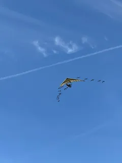  Une aventure épique au Puy du Fou ! 