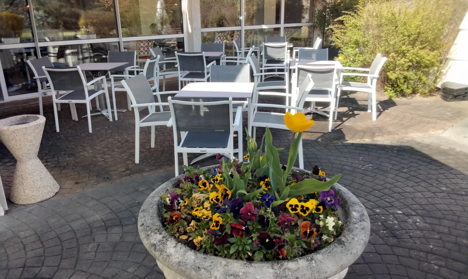 La terrasse est de retour 