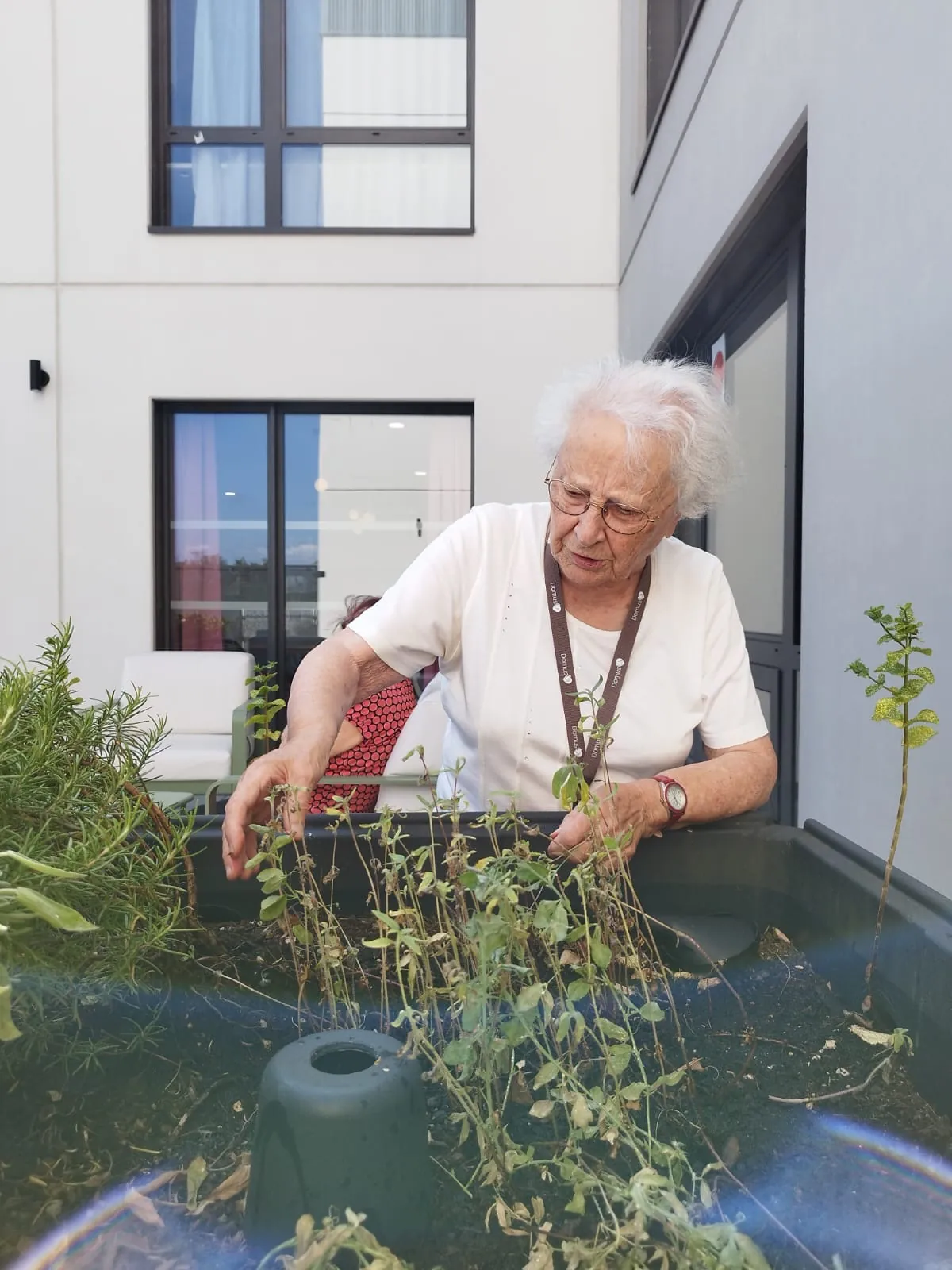 La petite vie aux terrasses de l'étoile