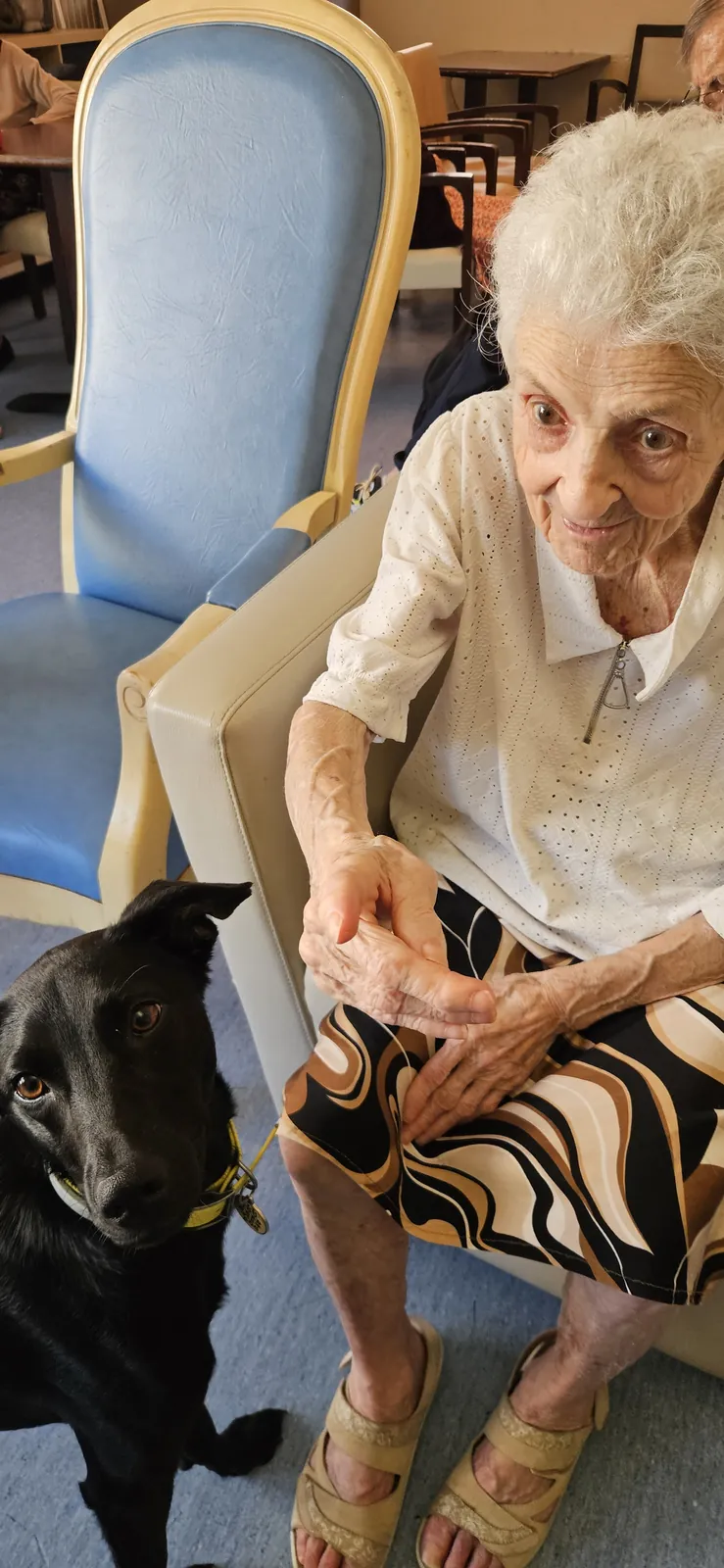 Médiation animale en unité de vie protégée. 