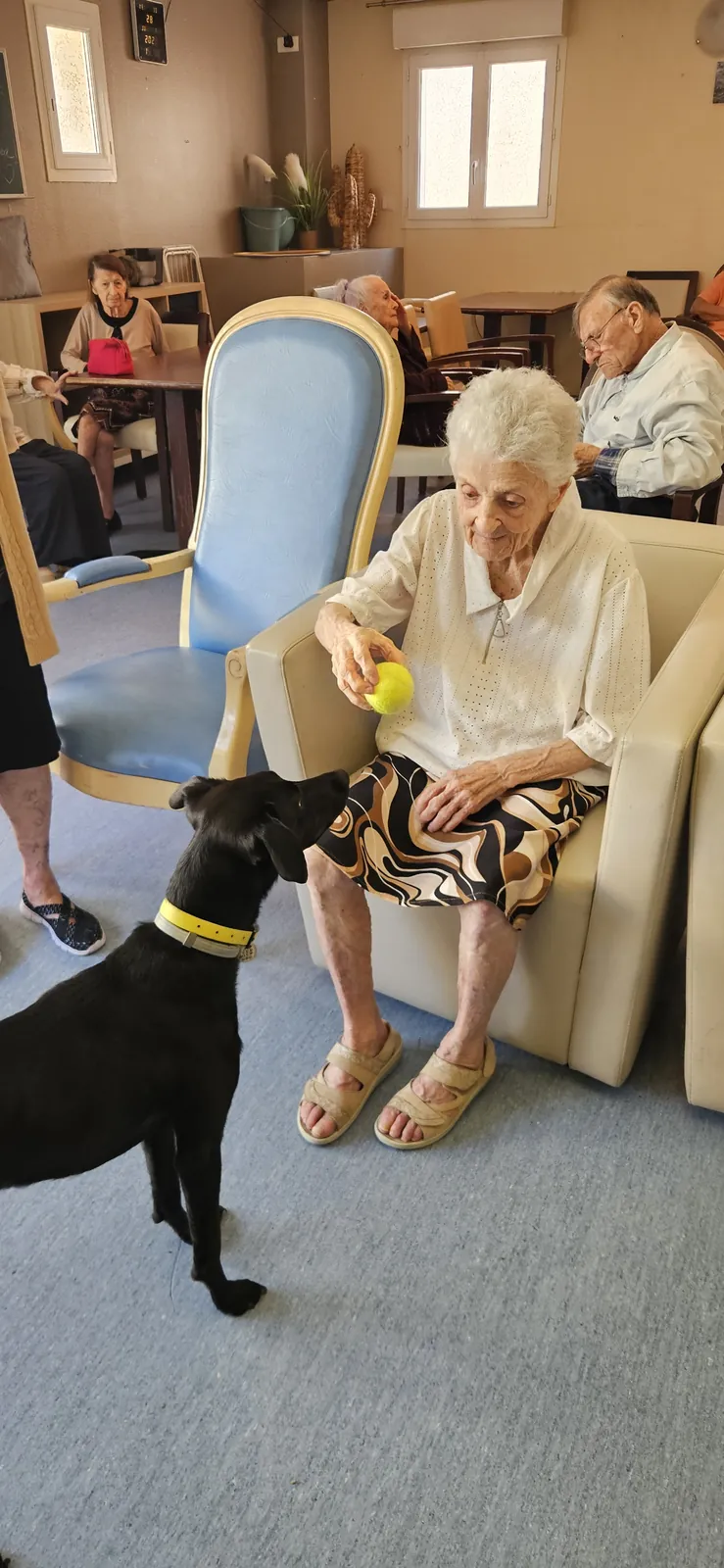 Médiation animale en unité de vie protégée. 
