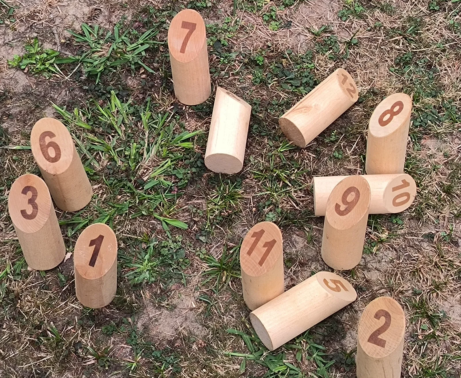 Entre compétition et éclats de rire : après-midi Molkky au jardin
