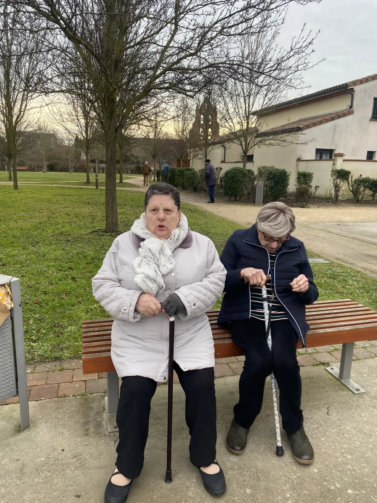 Promenade matinale 