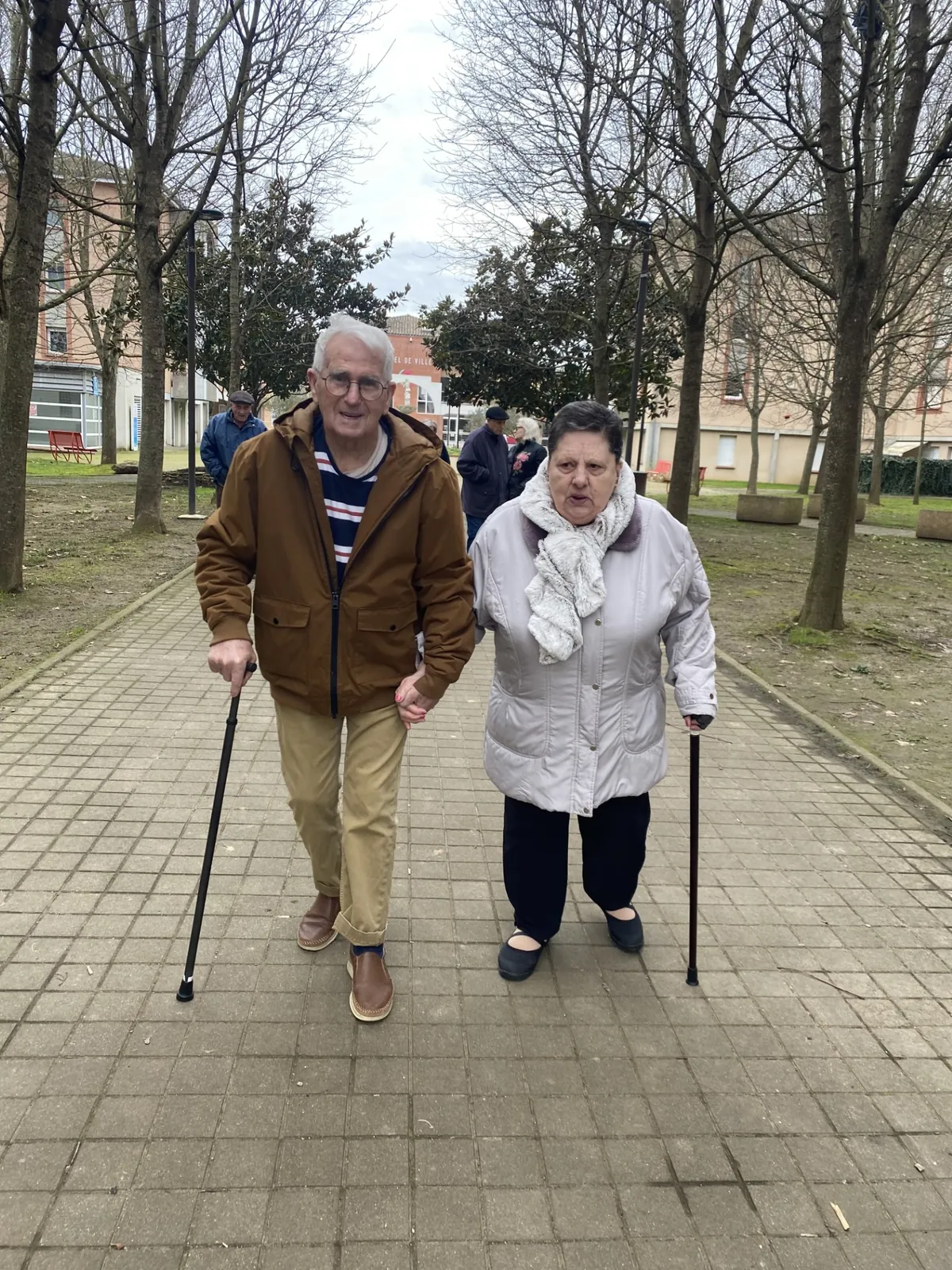Promenade matinale 