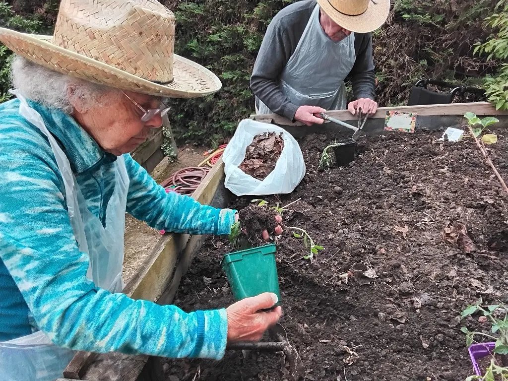 Binage et arrosage : ça dépote à Eleusis !