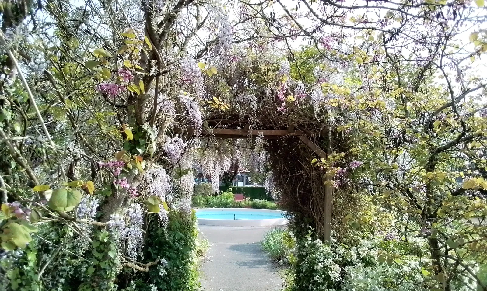 Notre jardin s’éveille au printemps