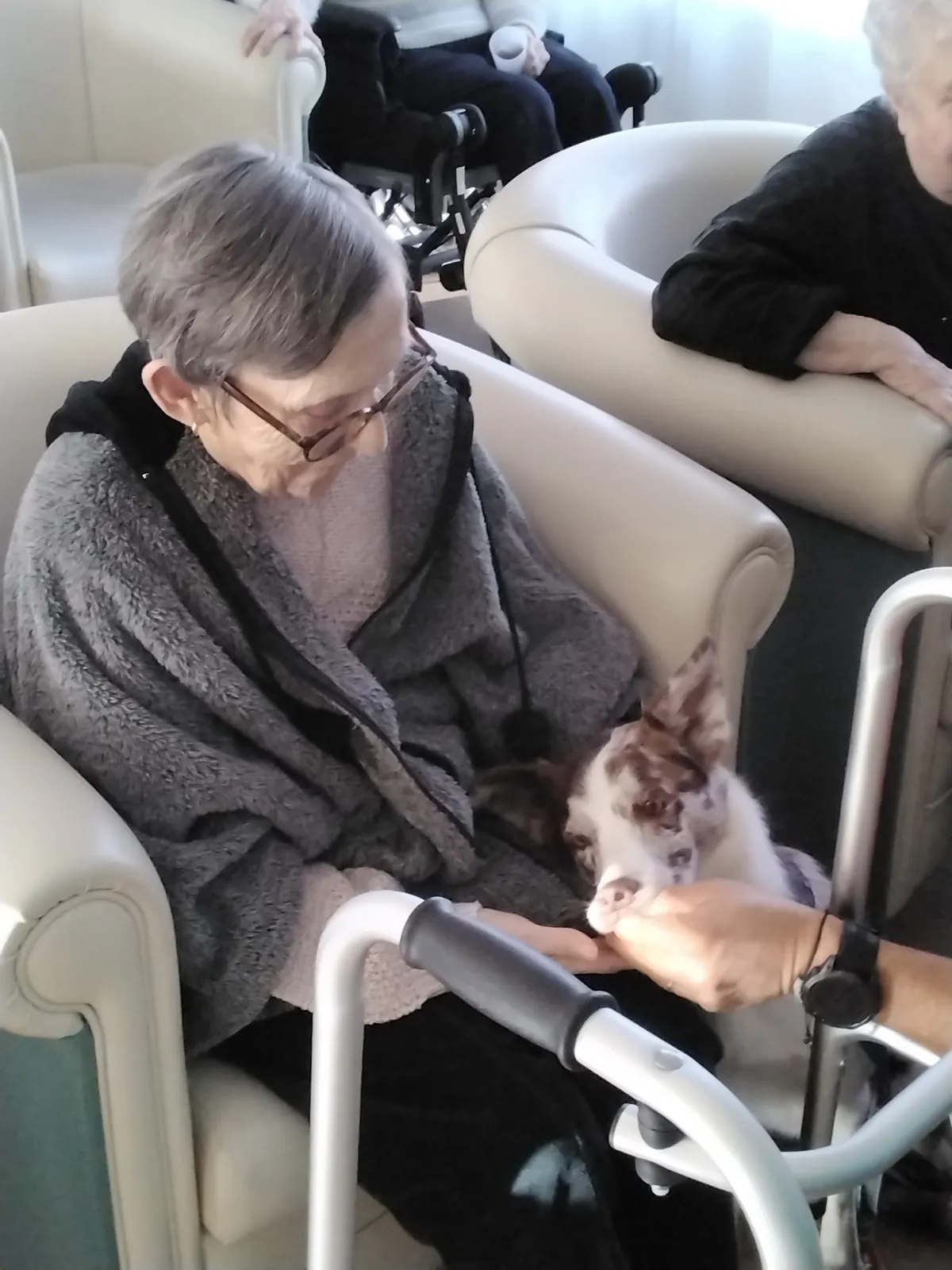 Chiens Visiteurs à la résidence