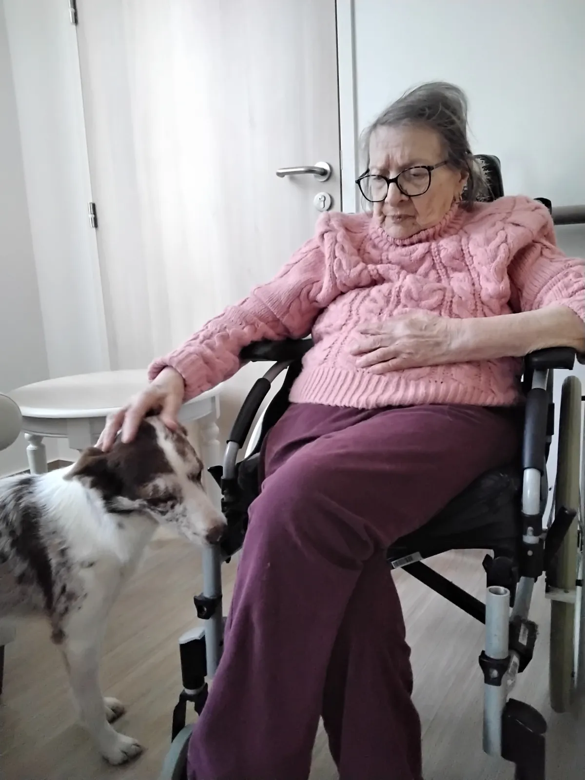 Chiens Visiteurs à la résidence