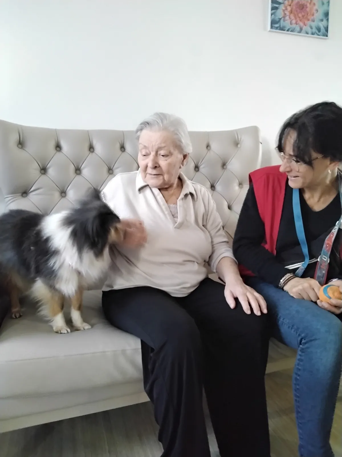 Chiens Visiteurs à la résidence