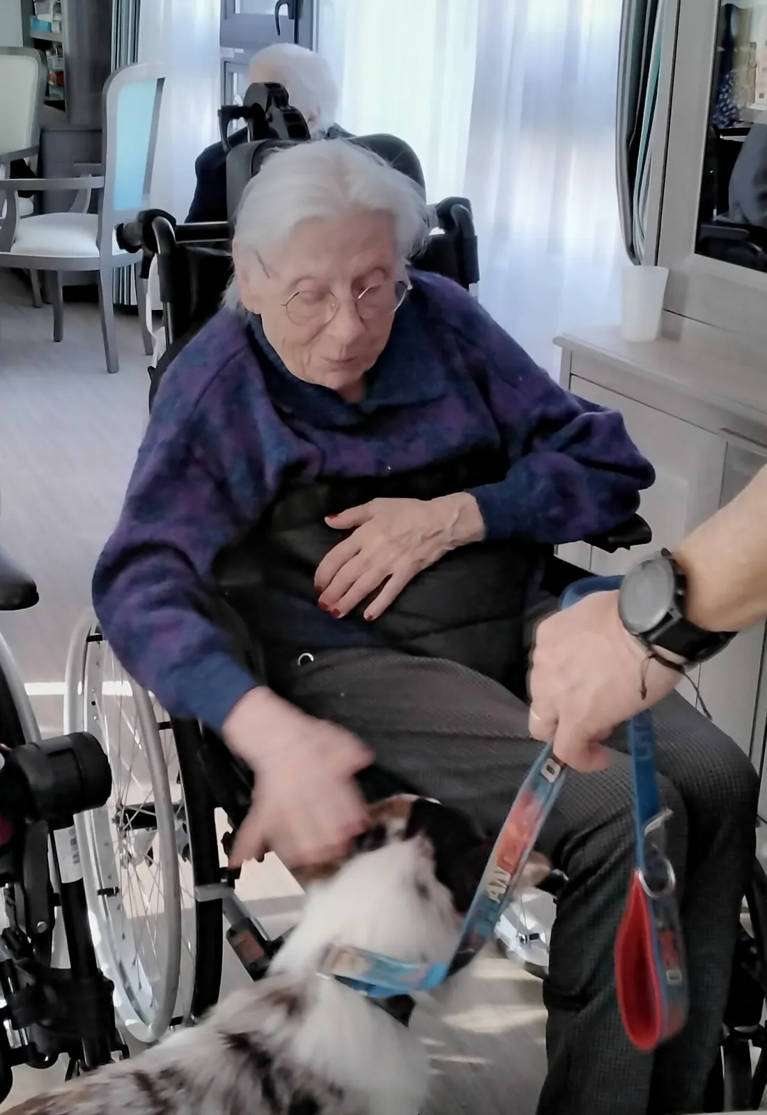 Chiens Visiteurs à la résidence