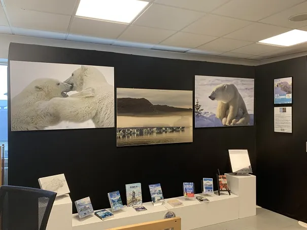 Visite des expositions à la médiathèque Condorcet !